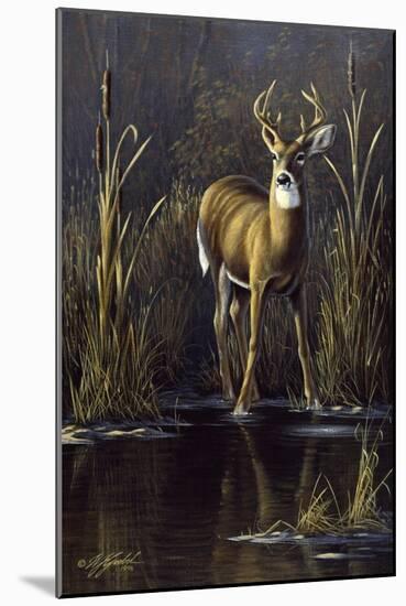 Whitetail Buck-Wilhelm Goebel-Mounted Giclee Print