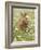 Whitetail Deer Fawn Among Oxeye Daisy, in Captivity, Sandstone, Minnesota, USA-James Hager-Framed Photographic Print