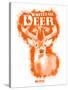 Whitetail Deer Spray Paint Orange-Anthony Salinas-Stretched Canvas