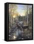 Whitetail Deer-Jeff Tift-Framed Stretched Canvas