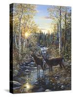 Whitetail Deer-Jeff Tift-Stretched Canvas