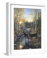 Whitetail Deer-Jeff Tift-Framed Giclee Print