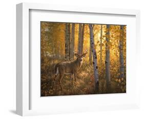 Whitetail in Aspens-Greg Alexander-Framed Art Print