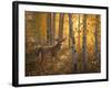 Whitetail in Aspens-Greg Alexander-Framed Art Print