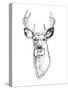 Whitetail Wireframe II-Emma Scarvey-Stretched Canvas