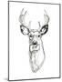 Whitetail Wireframe II-Emma Scarvey-Mounted Art Print