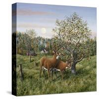 Whitetails under the Apple Tree-Jeff Tift-Stretched Canvas
