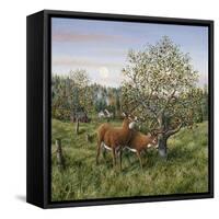 Whitetails under the Apple Tree-Jeff Tift-Framed Stretched Canvas