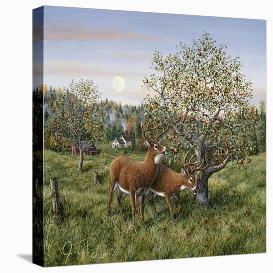 Whitetails under the Apple Tree-Jeff Tift-Stretched Canvas