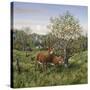 Whitetails under the Apple Tree-Jeff Tift-Stretched Canvas