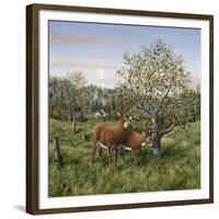 Whitetails under the Apple Tree-Jeff Tift-Framed Giclee Print