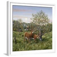 Whitetails under the Apple Tree-Jeff Tift-Framed Giclee Print