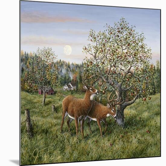 Whitetails under the Apple Tree-Jeff Tift-Mounted Giclee Print