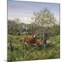 Whitetails under the Apple Tree-Jeff Tift-Mounted Giclee Print