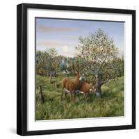 Whitetails under the Apple Tree-Jeff Tift-Framed Giclee Print