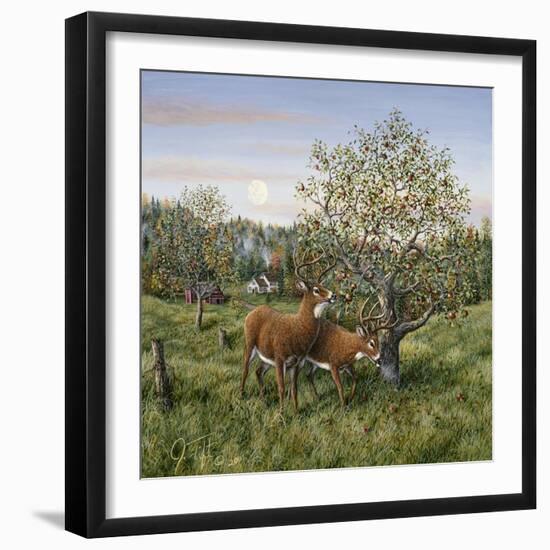 Whitetails under the Apple Tree-Jeff Tift-Framed Giclee Print