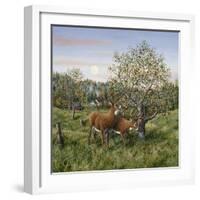 Whitetails under the Apple Tree-Jeff Tift-Framed Giclee Print