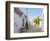 Whitewashed trulli houses along street in the old town, Alberobello, Puglia-Karen Deakin-Framed Photographic Print