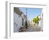 Whitewashed trulli houses along street in the old town, Alberobello, Puglia-Karen Deakin-Framed Photographic Print