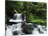 Whitewater Creek Falls, Willamette National Forest, Oregon, USA-Stuart Westmorland-Stretched Canvas