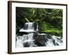 Whitewater Creek Falls, Willamette National Forest, Oregon, USA-Stuart Westmorland-Framed Photographic Print