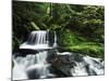 Whitewater Creek Falls, Willamette National Forest, Oregon, USA-Stuart Westmorland-Mounted Photographic Print