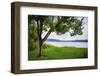 Whitewater Lake, Whitewater Memorial State Park, Indiana, USA.-Anna Miller-Framed Photographic Print