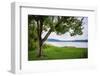 Whitewater Lake, Whitewater Memorial State Park, Indiana, USA.-Anna Miller-Framed Photographic Print