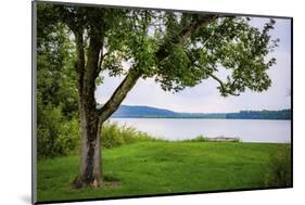 Whitewater Lake, Whitewater Memorial State Park, Indiana, USA.-Anna Miller-Mounted Photographic Print