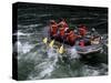 Whitewater Rafting in Salmon River, Idaho, USA-Bill Bachmann-Stretched Canvas