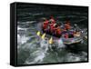 Whitewater Rafting in Salmon River, Idaho, USA-Bill Bachmann-Framed Stretched Canvas