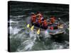 Whitewater Rafting in Salmon River, Idaho, USA-Bill Bachmann-Stretched Canvas