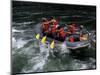 Whitewater Rafting in Salmon River, Idaho, USA-Bill Bachmann-Mounted Photographic Print