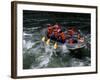 Whitewater Rafting in Salmon River, Idaho, USA-Bill Bachmann-Framed Photographic Print