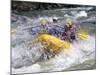 Whitewater Rafting, Montana, USA-Michael DeFreitas-Mounted Photographic Print