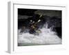 Whitewater Rafting, USA-Michael Brown-Framed Photographic Print