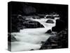 Whitewater River, USA-Michael Brown-Stretched Canvas