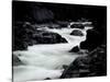 Whitewater River, USA-Michael Brown-Stretched Canvas