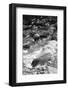 Whitewater-Bike Tourist-Framed Photographic Print