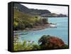 Whitianga Bay, East Cape, New Zealand-David Wall-Framed Stretched Canvas