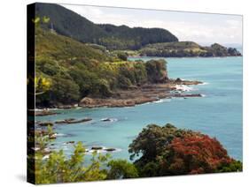 Whitianga Bay, East Cape, New Zealand-David Wall-Stretched Canvas