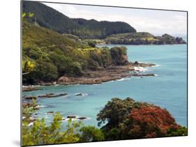 Whitianga Bay, East Cape, New Zealand-David Wall-Mounted Photographic Print