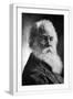 White Frame
