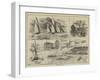 Whitstable Regatta-null-Framed Giclee Print