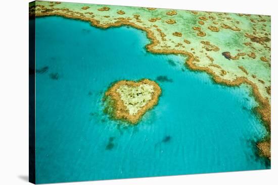 Whitsunday Islands, Great Barrier Reef, Australia-Inaki Relanzon-Stretched Canvas