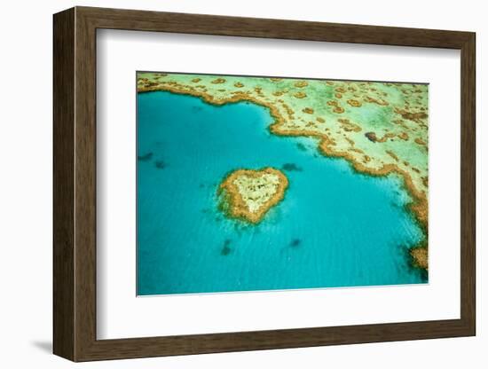 Whitsunday Islands, Great Barrier Reef, Australia-Inaki Relanzon-Framed Photographic Print