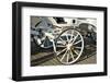 Whitte Cab in Cracow-snoofek-Framed Photographic Print