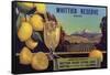 Whittier Reserve Brand - Whittier, California - Citrus Crate Label-Lantern Press-Framed Stretched Canvas