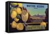 Whittier Reserve Brand - Whittier, California - Citrus Crate Label-Lantern Press-Framed Stretched Canvas