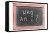 Who Am I-Yury Zap-Framed Stretched Canvas